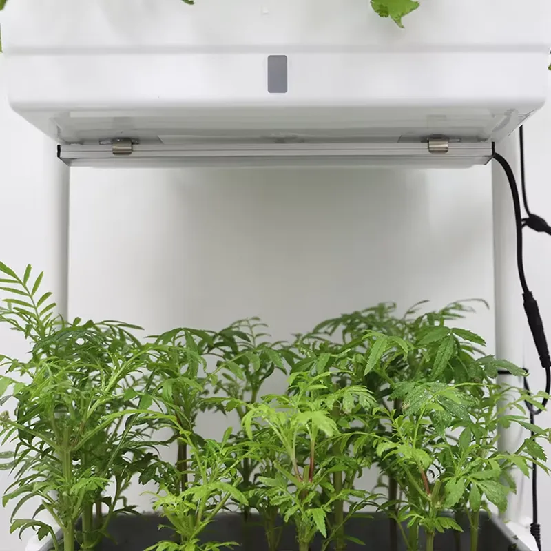 Movable Vertical Grow 3 Level  - Self-Watering Planter ulasan dan harga