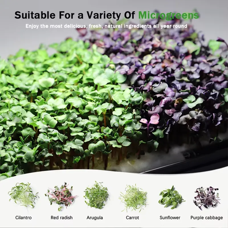 Microgreens Self Watering Hydr - Self-Watering Planter ulasan dan harga