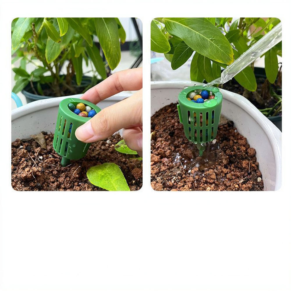 Fertilizer Box For Bonsai Plan - Gardening Tools Essential ulasan dan harga