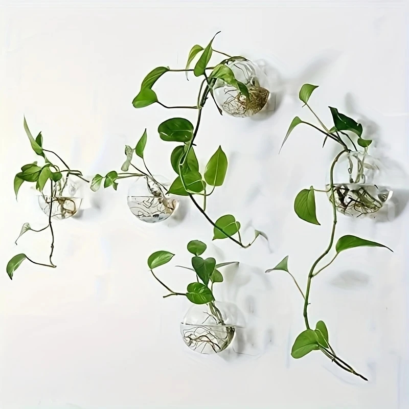 2/4/6 Pack Wall Hanging Glass  - Self-Watering Planter ulasan dan harga