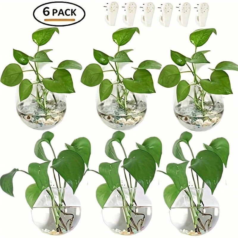 2/4/6 Pack Wall Hanging Glass  - Self-Watering Planter ulasan dan harga