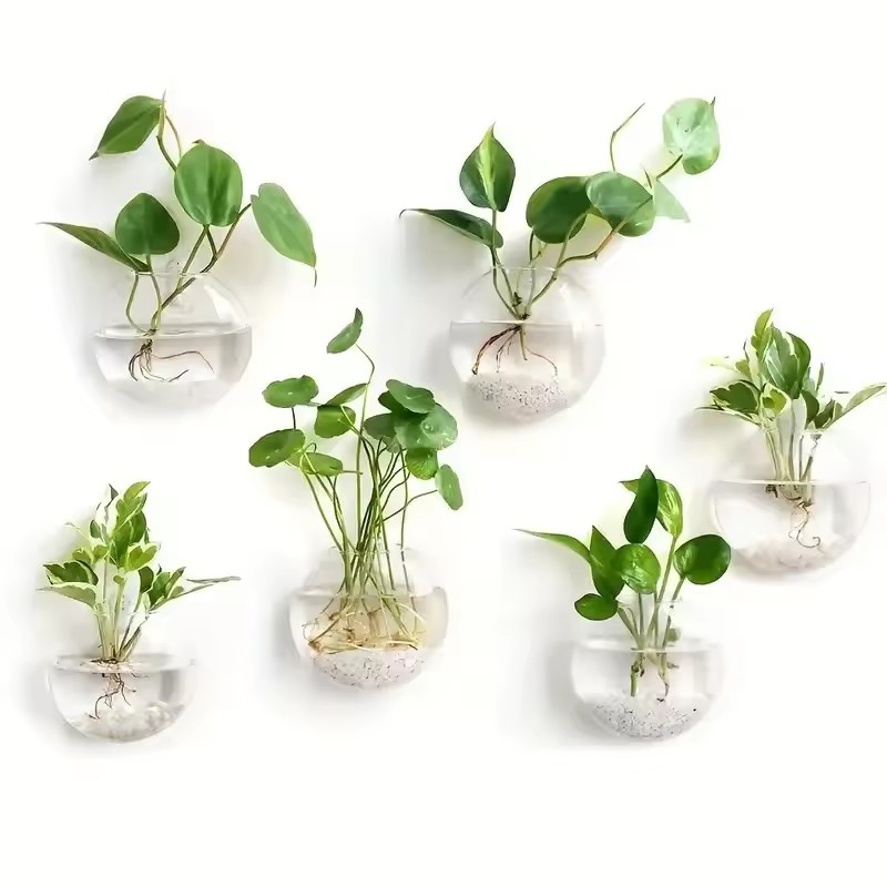 2/4/6 Pack Wall Hanging Glass  - Self-Watering Planter ulasan dan harga
