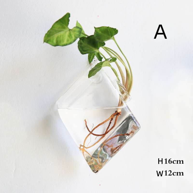 Wall Hanging Glass Terrarium - - Self-Watering Planter ulasan dan harga