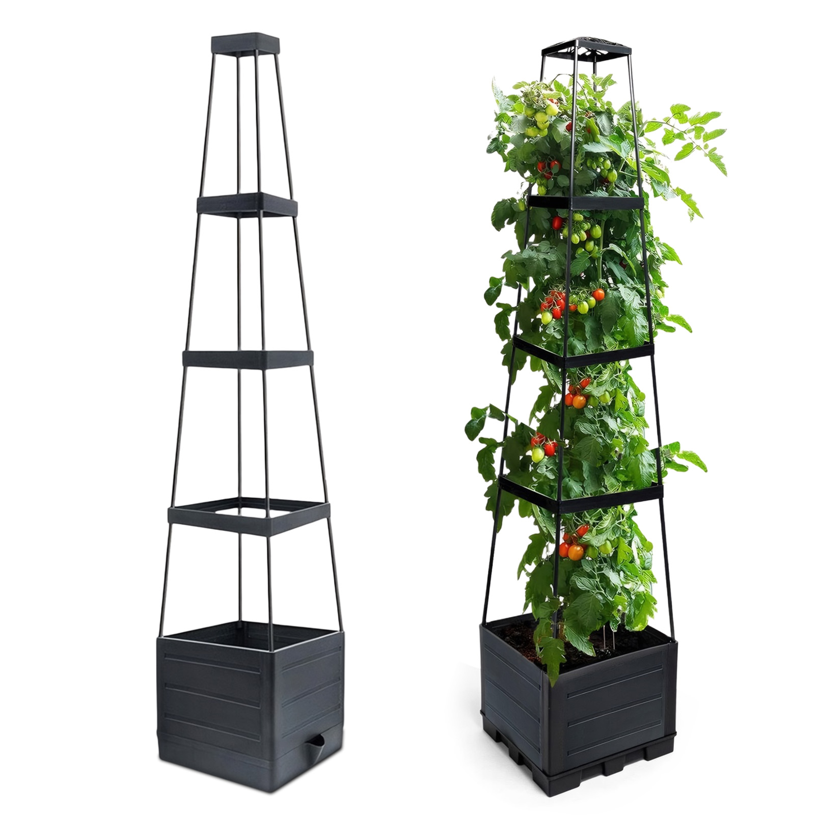 Raised Garden Bed Planter Box  - Self-Watering Planter ulasan dan harga