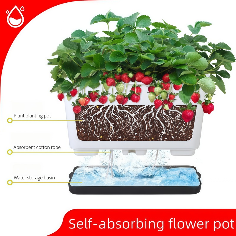 Widened Self Watering Planter  - Self-Watering Planter ulasan dan harga